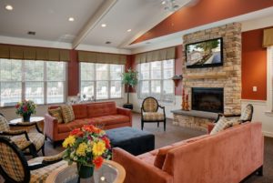apartments of wildewood apartment must-haves elevate apartment life