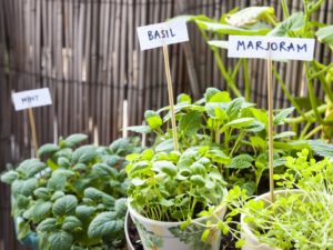 apartments of wildewood balcony gardens edible plants