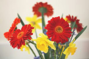 apartments of wildewood get your apartment ready for spring