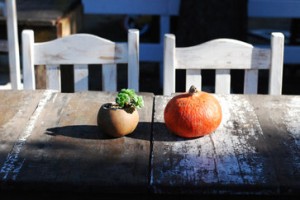 Reclaimed and refurbished furnishings
